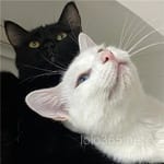 Avatar Florencia Armenta